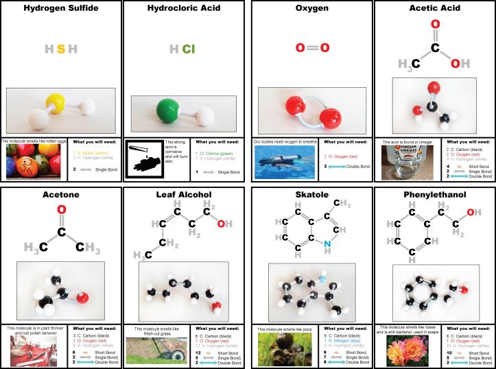 chemistry-made-fun-building-molecule-models-homeschooling2e